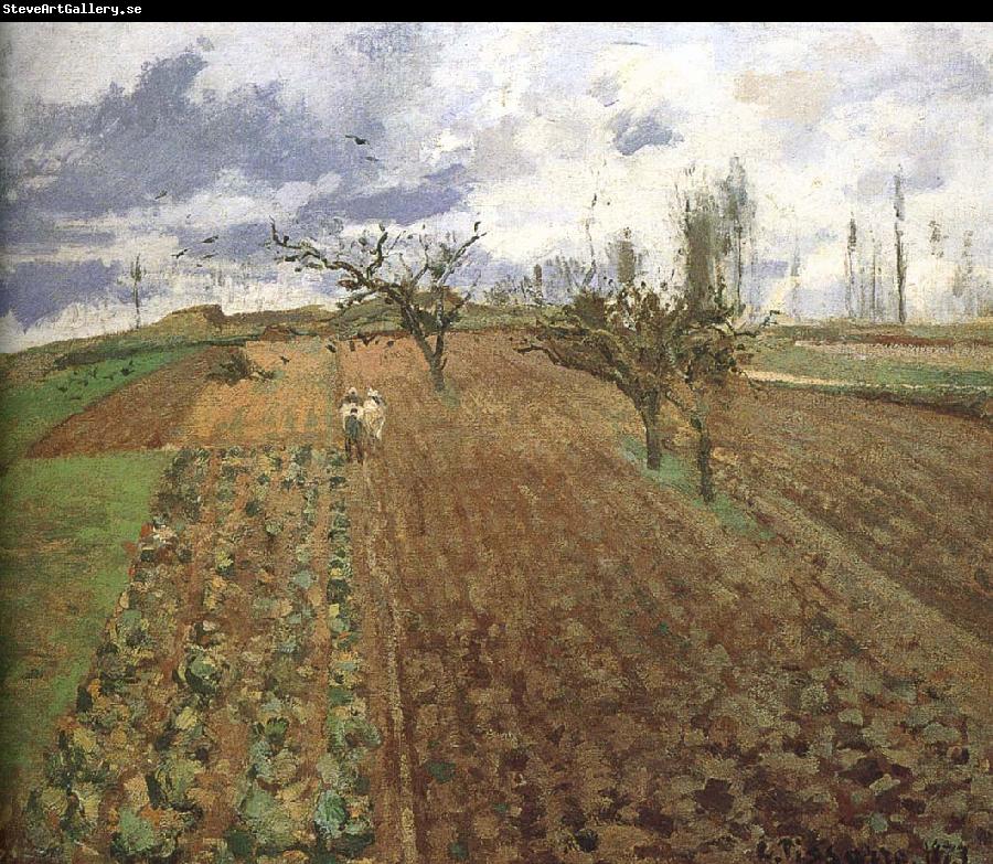 Camille Pissarro Farmland